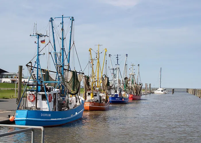 Kniepsand 08 بيت للعطل *