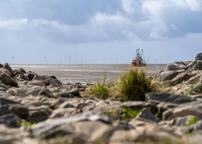 بيت للعطل Kniepsand 08 *